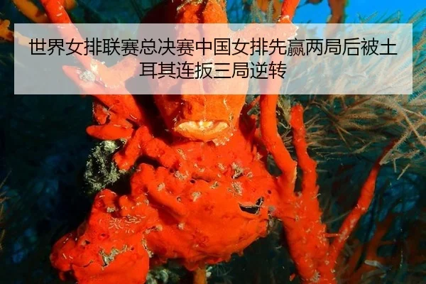 shi-jie-nv-pai-lian-sai-zong-jue-sai-zhong-guo-nv-pai-xian-ying-liang-ju-hou-bei-tu-er-qi-lian-ban-san-ju-ni-zhuan-3-282.jpg