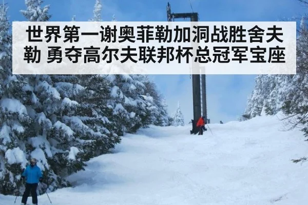 世界第一谢奥菲勒加洞战胜舍夫勒 勇夺高尔夫联邦杯总冠军宝座